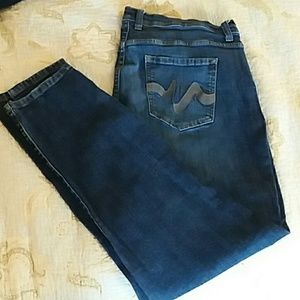 Dark Stone Wash Skinny Jeans - Plus